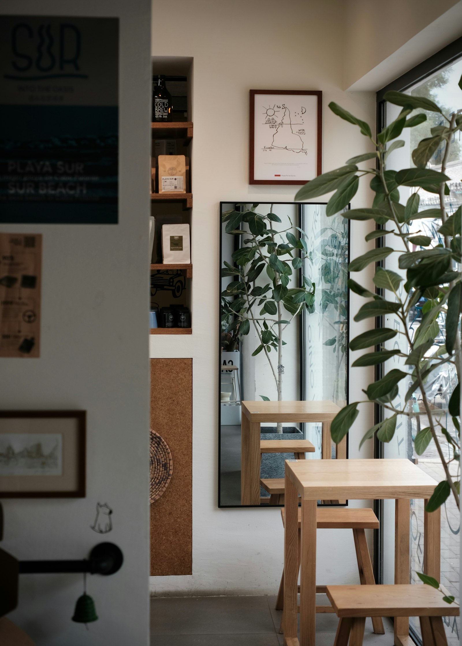 Café Pirma interior with wooden tables and plants